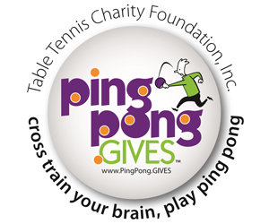 Ping Pong 300